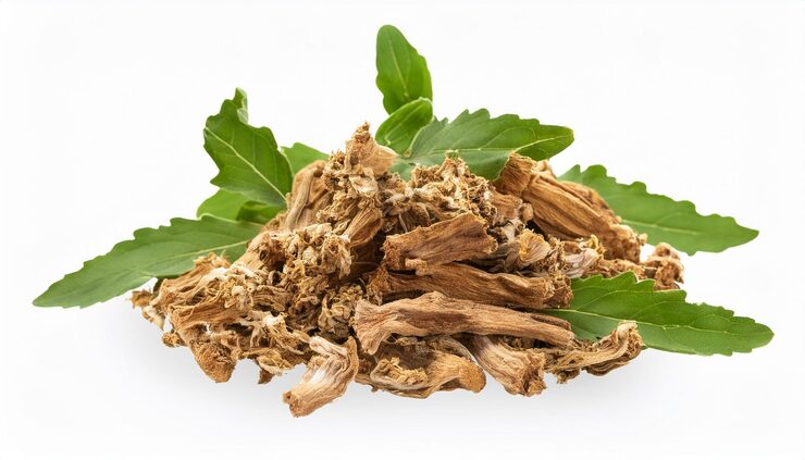jatamansi-nardostachys-jatamansi-ayurveda-herb-natural-medicinal-remedy-ingredient-isolated_1348833-7092