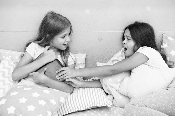 Sibling relationship and behavioural support